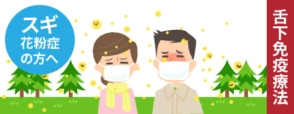 スギ花粉症の方へ（舌下免疫療法）